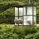 Bus Stop